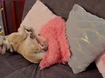 See Haileebeer_ online Now @ fap.tw